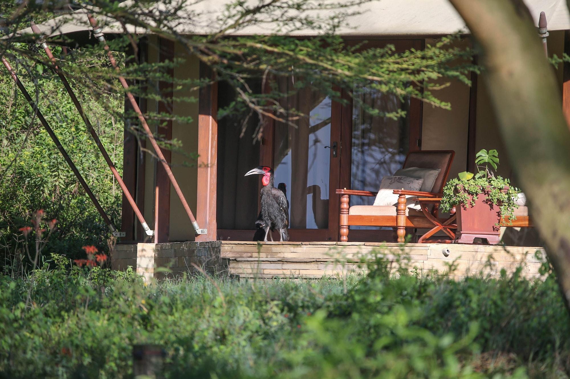 Lake Elmenteita Serena Camp Εξωτερικό φωτογραφία