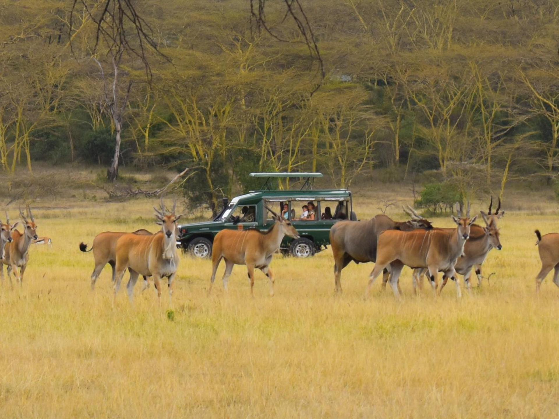 Lake Elmenteita Serena Camp Εξωτερικό φωτογραφία